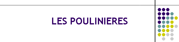 LES POULINIERES
